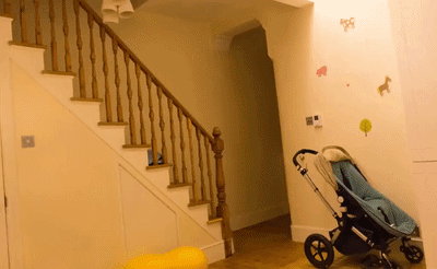 EAGLES: Efficient Accelerated 3D Gaussians with Lightweight EncodingS