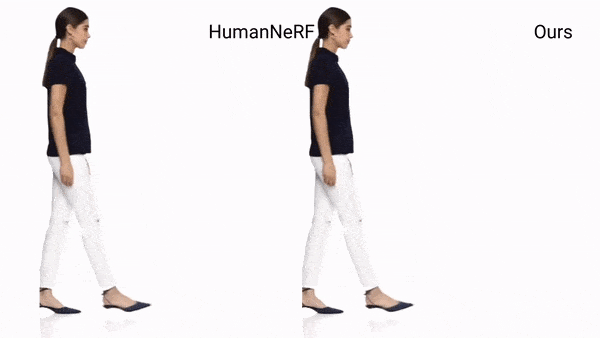 FlexNeRF: Photorealistic Free-viewpoint Rendering of Moving Humans from Sparse Views