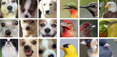 PatchVAE: Learning Local Latent Codes for Recognition