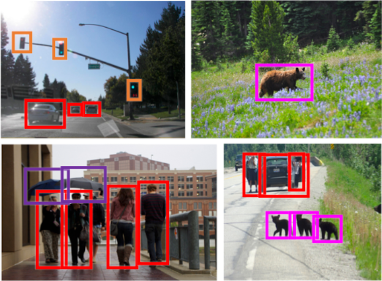 The Pursuit of Knowledge: Discovering and Localizing Novel Categories using Dual Memory